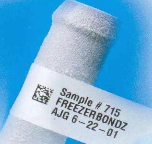 圖片5.jpg 圖片5.jpg