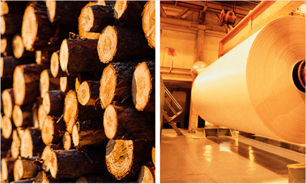 防靜電標(biāo)簽